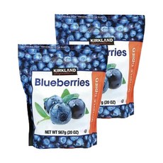 엘루맘 커클랜드 시그니춰 건블루베리 567g x 2개, 567gx