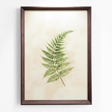 PLUSCHEN A3 사진 액자 월넛 컬러 MDF 우드 포토 프레임 플렉시 글라스 전면 벽 디스플레이