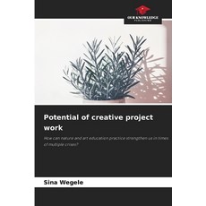 (英文圖書)Potential of creative project work 平裝版, Our Knowledge Publishing, 英文