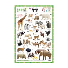 새샘 사운드벽보 룰루랄라 동물, 단품