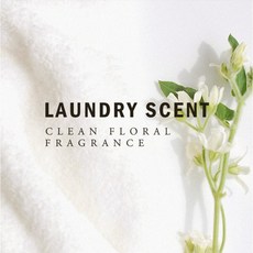 LOE 香氛小包 LAUNDRY SCENT, 1個, LAUNDRY SCENT,香氛小包 25g