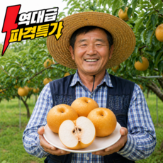 [역대급특가] 산지직송 가정용배 프리미엄 정품, 1박스, 5kg