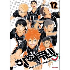 하이큐!! 12, [만화] 하이큐