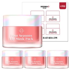 아케이 더마 포시즌 슬리핑 립마스크팩 3g*4ea, 1개