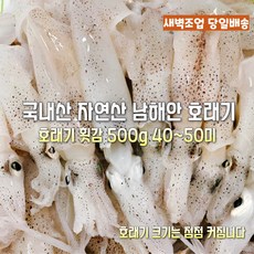 [산지직송] 국내산 통영. 여수 햇 생물 호래기 새벽조업 당일배송 최상급 꼴두기 호래기 회감용 500g 회무침 숙회 재철생선 선물용 가정용, 1박스, 햇 생물 활 호래기(꼴뚜기) 횟감용 500g