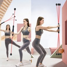 로이윙 에어 자이로 스윙 진동 플렉스바 플렉시바, 블랙, 카운터형, 1개