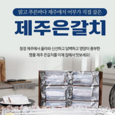 100% 제주 은갈치 업소용 도매 대용량 직접경매 산지직송, 1박스, 5마리(750g이상)