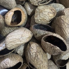 臺灣出貨 印尼果殻風鈴diy黑果材料包自製果殻音手工製作手搖鈴pangjii果殻 0OUT, 印尼黑果殼Pangi 10個+送麻繩31, 1個