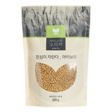 [아이보리]몸에좋은차 보리차, 500g, 1개, 1개입
