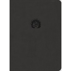 (영문도서) Reformation Study Bible-ESV Imitation Leather, Ligonier Ministries, English, 9781567696820