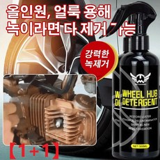 [1+1] 다용도 자동차 탈청제 스텐녹제거제 금속녹제거제 자동차 휠 녹제거제 철녹제거제 300ml+300ml, 300ml*10, 300ml * 10