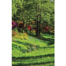 [ 904494 ] 공감 드로잉 연습 스케치북: 좋은 것을 보라... 기록하라 [페이퍼백]