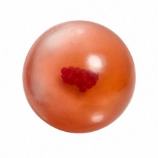 왁뿌볼 수제 슬랑이 크런치 적포도 말랑이 스퀴시