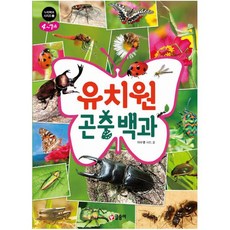 유치원 곤충 백과, 누리백과 시리즈 1, 글송이