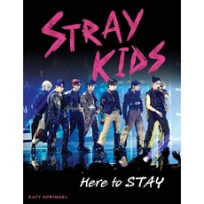 Stray Kids: Here to Stay, Triumph Books