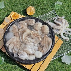 선주직송 갓잡은 자연산 제철 쫄깃쫄깃 생물 알쭈꾸미, 1개, 1KG