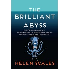 (영문도서) The Brilliant Abyss: Exploring the Majestic Hidden Life of the Deep Ocean and the Looming Th... Paperback, Atlantic Monthly Press, English, 9780802158239