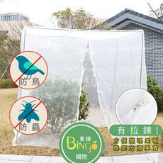 賓購 蚊帳型尼龍帶拉鍊植物防蟲網罩 防鳥罩 防蟲網 無花果樹網 盆栽果樹網 果樹防鳥 庭院果樹防蟲防鳥 樹葡萄, 250X250X250(店到店限一件)