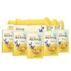자연 그대로 배도라지즙 100ml 30개입 1개