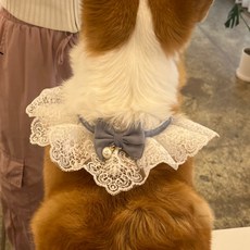 다온58 강아지 스카프 블루 M 사진촬영