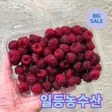 일등농수산 국내산 정품 급냉 특품 산딸기, 1개, 500g
