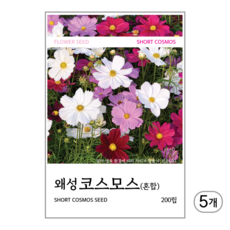 왜성코스모스(혼합) 씨앗 200립, 5개 5개