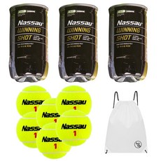 낫소 WNS TENNIS 선수용 시합공 2개입 3캔 + PGN짐쌕가방, 상세페이지참조, 6개 상세페이지참조, 6개