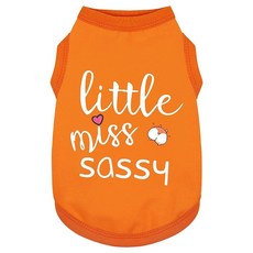 해외 Paiaite 강아지 옷 패셔너블한 민소매 애완동물 조끼 'Little Miss Sassy' 프린트 면 셔츠 소형 중형 대형견에 이상적 편안함과 통기성 보장 그린 XXS, XS.