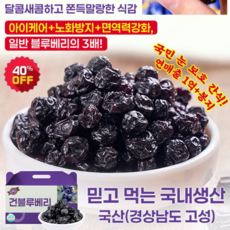 1+1타이완산 특급 무설탕 블루베리 건조과일건블루베리건조블루베리100% 건조 블루베리 무설탕, 1자루