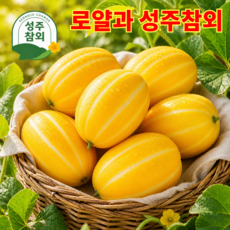 [로얄과] 성주참외 꿀brix 고당도 꿀참외, 1박스, 1kg x