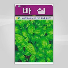 아람종묘 허브 바실 씨앗 50p, 바실50립(아람)