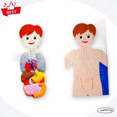 3045 매직캐슬 신체기관 한글 차트 인체 구조 학습 교육용 벽보 픽앤코401