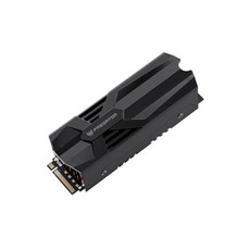 Acer Predator GM9000 M.2 SSD 2TB DRAM NVMe2.0 2280 PCIe 14000MBs 13000MBs) 6nm TLC 방열판