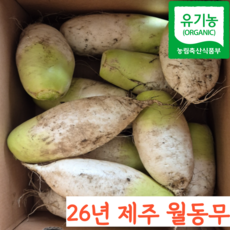 26년 유기농 제주 월동무 김장무 동치미 흙 무 무우, 1개, 3kg