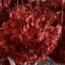 永生花 婚慶純白色捧花, 紅色大葉繡球