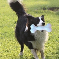 橡膠耐咬狗狗玩具 幼犬解悶發泄神器 中小型犬專用 寵物獨處必備 幼成犬貓通用玩具, 1個, 咬膠骨頭磨牙棒【耐磨耐咬-磨牙潔齒】藍色