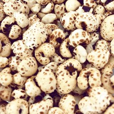 爆薏仁 原味休閒零食, 1個, 半斤/300g,原味薏仁