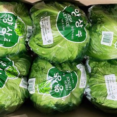 국내산 정품 양상추 6개, 단품, 단품