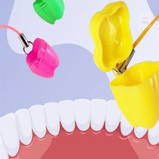 다파라1호 유치 보관 케이스 유치케이스