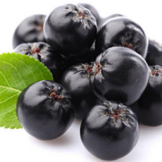 굿피플 아로니아 냉동아로니아 국산아로니아 햇아로니아, 1개, 냉동 아로니아 특품 (줄기/꼭지제거) 1kg