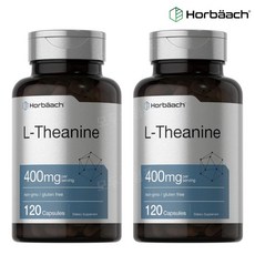 호바흐 L 엘 테아닌 Theanine 400mg 120캡슐 2개