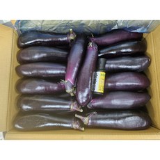 전라도 가지, 1개, 1kg