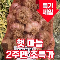 [26년첫수확] 고흥 국산 햇마늘 국내산 통마늘, 1박스, 1kg