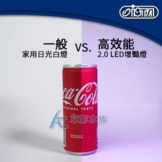 ISTA 高效能 2.0增豔燈, 1個