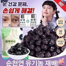 블루베리 드라이 블루베리 드라이 100g 설탕에 절인 새콤달콤 베이킹 원료 말린 과일 공장 도매 직거래, 1박스