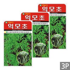 세인화분 익모초 1000립 - 국산 씨 씨앗, 3개