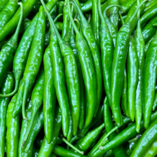 (국내산) 매운고추 햇 청양고추 300g 500g 1kg, 1개