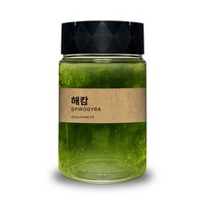 초등학교 실험 관찰생물 녹조류 해캄 300ml