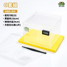 彼得角蛙 辦公室棉養套組 簡易角蛙飼養套組 爬寵 角蛙 守宮 兩棲飼養缸, 1個, Ｃ套組