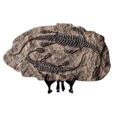 공룡화석 관찰표본 과학수업 축소모형 중등기관 공룡뼈 공룡학습놀이, 1개